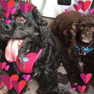 Meet your Posher, Leslie